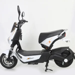 1000W Digital Technology Electric City Bike Adult 2 Wheel Electric Scooter with 48V Lead Acid Battery E Bike