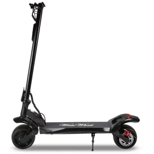 1000W Dual Motor Adult Electric Scooter Foldable Off Road