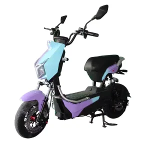1000W Electric City Bike Pedal Assist European Warehouse China’s Electric Moped Scooter