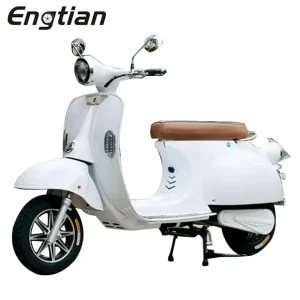 1000W Electric Scooter EEC COC Vintage Classical Style Electric Motorcycle with Removeable Battery