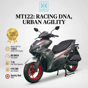 125cc 4 Stroke Air Cooled Gas Scooter EURO 5 EFI CBS Disc Brakes 80km/h Max Speed 7.3L Fuel Tank 1P52QMI Engine Manufacturer