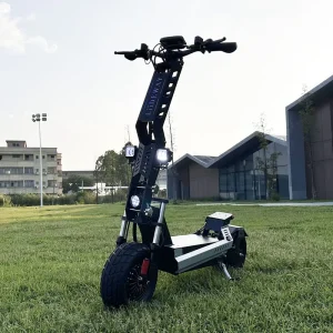 13inch Ecorider Adult Fast Foldable Off Road Dual Motor Electric Scooter