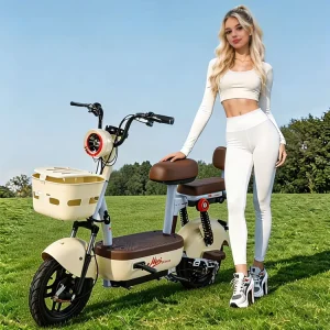 14-inch Tires Adult Electric Bicycle City Commuter Electric Scooter 48V350W Fat Tire Electric Bicycle