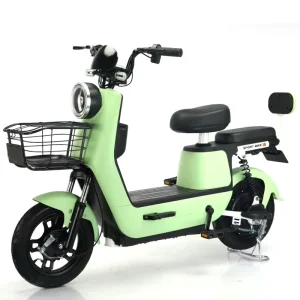 14inch Factory Electric Bicycle 350W 48V Adult Electric City Bike Lead Acid Battery Two Wheeled Electric Scooter