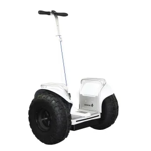 19 Inch Big Tyre Gyropode Two-Wheel Electric Self Balance Scooter for Adults Fat Tire Balanced Electric Golf Carts