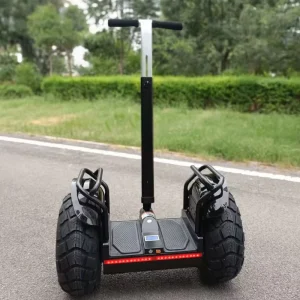 19 Inch Fat Tire Two Wheel Electric Chariot Covered Electric Scooter