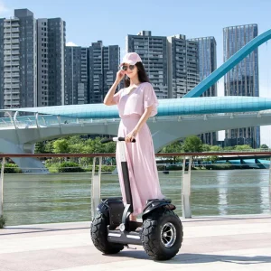 19 Inch Two Wheel Electric Balancing Scooter High Speed Smart Commuter Car Aluminum Alloy Frame 120kg Load Capacity