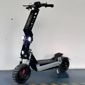 2 Wheel Dual Electric Scooter for Adults