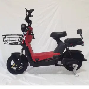 2 Wheels Electric Mopeds City Commute Electric Motorcycle Motor Scooter Road Sport Adults Electric Bicycles With Pedal