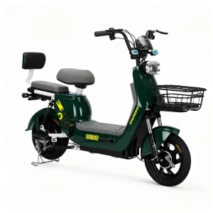 2 Wheels Electric Scooter Bike 48V 350W Electric City Bike for Adults