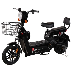 2 Wheels Electric Scooter Bike 48V 350W Electric City Bike for Adults