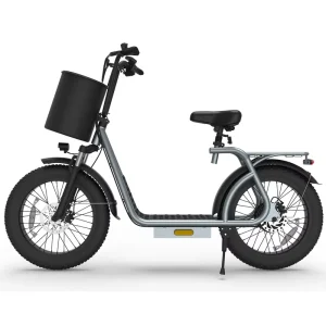 20 Inch Fat Tire Scooter Long Range Adult Fast Speed Delivery Food Scooter Urban Commuter Bik