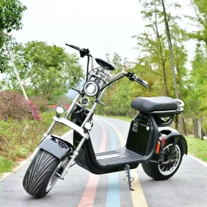 2000W 3000W Intelligent GPS Foldable Waterproof Electric Citycoco Scooter Motorcycle Chopper with 50kmh Max Speed