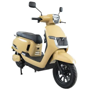 2000W Electric Scooter SKD Parts with 61 80km h Speed CN JIA Origin for Oman Qatar Importers