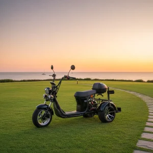 2000W Powerful Three Wheel Electric Scooter Waterproof Off Road Adults 3 Wheel Electric Motorcycle