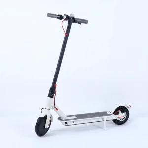250W E Scooter Bike with 36V Voltage