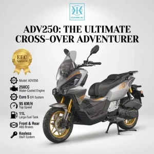 250cc 4 Stroke Water Cooled Gas Scooter EURO 5 EFI 10.5kW 95km/h Top Speed 11L Fuel Tank Gasoline Powered Moped Scooter