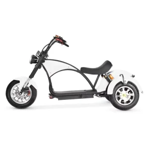 3 Wheel Citycoco Electric Scooter 2000w 4000W 50km/h Electric Fat Tire Citycoco