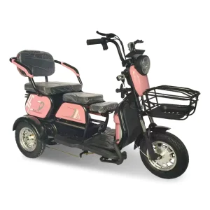 3 Wheel Electric Scooter 600W Mini Electric Motorcycle Leisure Steel Frame Electric Tricycles Elderly 60V Folded