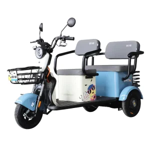 3 Wheels Electric Tricycles Other Scooters Tuk Tuk Petrol with Lead Acid Battery