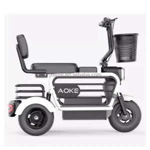3 Wheels Scooter Trike Electric Bike Electric Tricycle Electric Cargo Tricycle