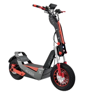3000W High Speed Adult Electric Scooter Foldable Two Wheel Big Power