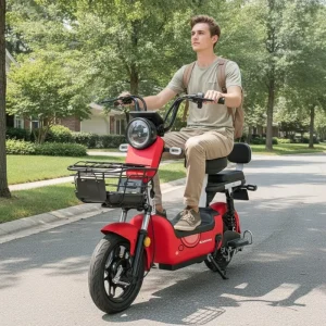 350W/500W Electric Bike for Adults 48V Lead Acid Battery Two Seat City Ebike Scooter with Pedal
