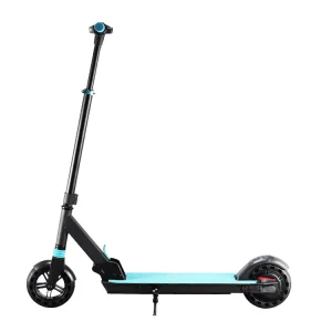 350W Dual Motor Foldable Electric Scooter High Speed 25km/h Long Driving Range Two Wheeled Vehicle for Adults Daily Commute