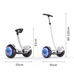 36/54V Self Balancing Electric Scooters with Handle Kids Adult Smart Handle Leg Bar Hover Boards