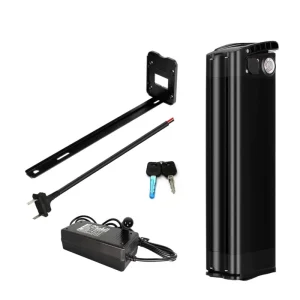 36V 48V Battery 10Ah 30Ah Lithium Ion Battery Pack for 250W 500W 750W Engwe L20 Ridstar Motor