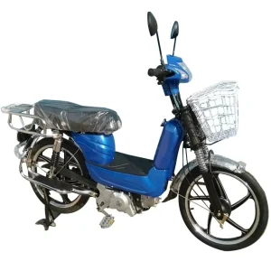 4 Stroke Gas Powered Gas Motor Scooter