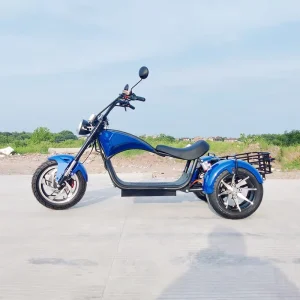 4000W 60AH Dual Motor Powerful Three Wheel Electric Scooter Electric Tricycle Citycoco
