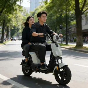 48V 20A Lithium Battery EBIKE Electric Moped Scooter 800W Brushless Motor 80km Range Powerful City Use with Two Seats Commute
