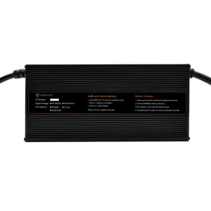 48V 25A 20A 18A 15A Battery Charger for Golf Carts