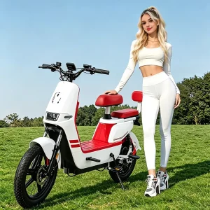 48V 350W Adult City Electric Bicycle Commuting Electric Scooter Electric Bicycle Kit Electric Kick Scooter