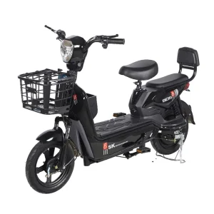 48V 350W Rear Hub Motor Electric Scooter 14 Inch Vacuum Tire 2 Seats for Adults