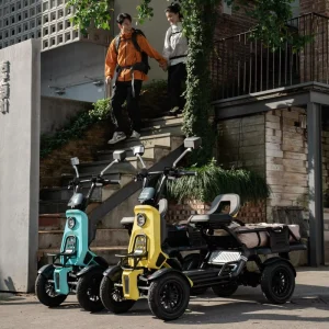 48V 500W Electric Scooter 13″ Tire Cargo 4-Wheel Outdoor Travel Multi-Functional Mobility Long Range 80km