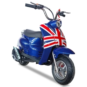 49cc 2 Wheelers Scooter Gas Motorcycle for Kids
