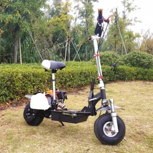 49cc 4 Stroke Gas Skateboard Scooter