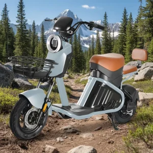 500W Electric Scooter 60V 3 Speed Carbon Steel Brushless Lead Acid EBIKE