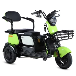 600W 800W 3 Wheel Electric Scooter Motorcycle Customize Other Motorized Tricycles for Elder Triciclo