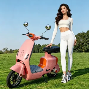60V500W Urban Adult Electric Bicycle Fat Tire 48V350W Electric Scooter Electric Kick Scooter