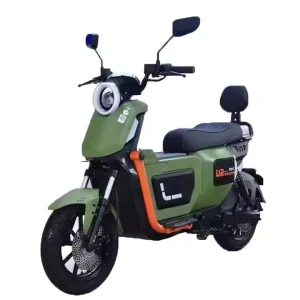 800 1000 1500W Motor Front Rear Disc Brake Padded Seat Electric Bicycle Scooter Motorcycles
