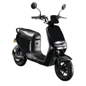 800W Electric Scooters for Adults Aluminum Alloy Two-Wheel Motorcycles