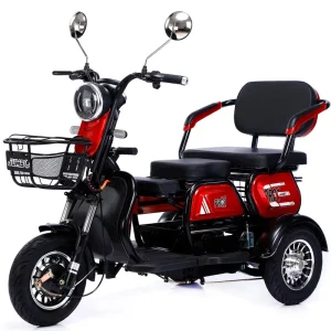 800W Two Seater Household Tricycle Scooter with Adjustable Steel Frame Small Three Seat Design Other Electric Bicycles