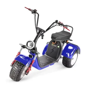 Adult 4000W Electric Trike Swing Design 3 Wheels Scooter Tricycle