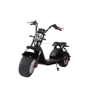Adult Classic 2 Wheel Electric Scooter 1000w 2000w Motorcycle