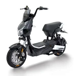Adult Electric Bicycle 2 Wheel Scooter with Rear Hub Motor 1000W Long Range High Speed for Urban Commuting & Short Trips