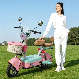 Adult Electric Bicycle City Road Commuting Small Electric Scooter 48V350W Fat Tire Electric Bicycle