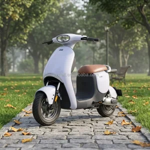 Adult Electric Scooter 400W Motor 48V 24Ah Lithium Battery 45km/h Max Speed 75km Long Distance Vintage Style Electric Moped Bike